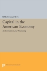 Image for Capital in the American Economy