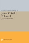 Image for James K. Polk, Vol 1. Jacksonian