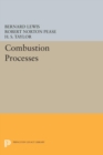 Image for Combustion Processes