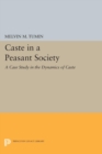 Image for Caste in a Peasant Society