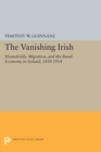 Image for The Vanishing Irish