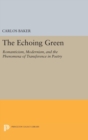Image for The Echoing Green