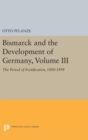 Image for Bismarck and the Development of Germany, Volume III : The Period of Fortification, 1880-1898