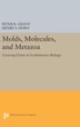 Image for Molds, Molecules, and Metazoa : Growing Points in Evolutionary Biology