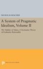 Image for A System of Pragmatic Idealism, Volume II
