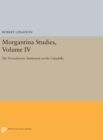 Image for Morgantina Studies, Volume IV : The Protohistoric Settlement on the Cittadella