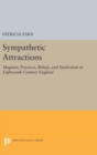 Image for Sympathetic Attractions : Magnetic Practices, Beliefs, and Symbolism in Eighteenth-Century England