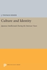 Image for Culture and Identity : Japanese Intellectuals during the Interwar Years
