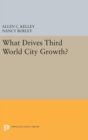 Image for What Drives Third World City Growth?