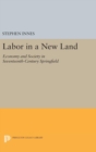 Image for Labor in a New Land : Economy and Society in Seventeenth-Century Springfield