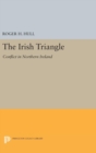 Image for The Irish Triangle : Conflict in Northern Ireland
