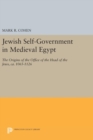 Image for Jewish Self-Government in Medieval Egypt