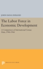 Image for The Labor Force in Economic Development : A Comparison of International Census Data, 1946-1966