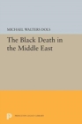 Image for The Black Death in the Middle East