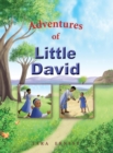 Image for Adventures of Little David