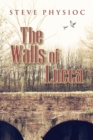 Image for The Walls of Lucca