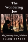 Image for The Wondering Jew My Journey into Judaism