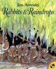 Image for Rabbits and Raindrops