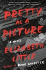 Image for Pretty as a picture: a novel