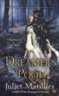 Image for Dreamer&#39;s Pool: A Blackthorn &amp; Grim Novel : book 1