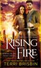Image for Rising Fire: A Novel of the Stone Circles