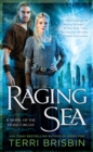 Image for Raging Sea: A Novel of the Stone Circles