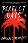 Image for Perfect days: a novel