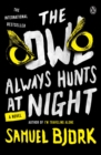 Image for The owl always hunts at night: a novel