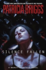 Image for Silence fallen : 10