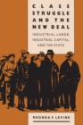 Image for Class struggle and the New Deal  : industrial labour, industrial capital, and the state