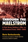 Image for Through the maelstrom  : a Red Army soldier&#39;s war on the Eastern Front, 1942-1945