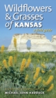 Image for Wildflowers and Grasses of Kansas