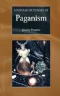 Image for A Popular Dictionary of Paganism