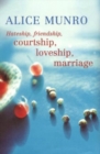 Image for Hateship, friendship, courtship, loveship, marriage  : stories