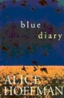 Image for Blue diary