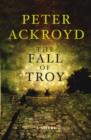 Image for The fall of Troy  : a novel