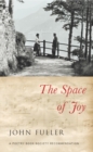 Image for The Space of Joy