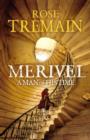 Image for Merivel  : a man of his time
