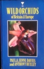 Image for Wild Orchids of Britain and Europe