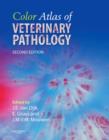 Image for Color atlas of veterinary pathology  : general morphological reactions of organs and tissues