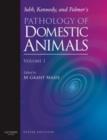 Image for Jubb, Kennedy &amp; Palmer&#39;s pathology of domestic animalsVol. 1