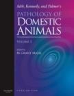 Image for Jubb, Kennedy &amp; Palmer&#39;s pathology of domestic animalsVol. 2