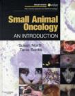 Image for Small Animal Oncology