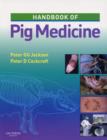 Image for Handbook of pig medicine