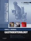 Image for Saunders Solutions in Veterinary Practice: Small Animal Gastroenterology