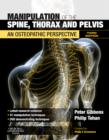 Image for Manipulation of the spine, thorax and pelvis  : an osteopathic perspective