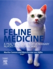 Image for Feline Medicine: A Practical Guide for Veterinary Nurses and Technicians
