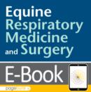 Image for Equine respiratory medicine and surgery