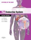 Image for The Endocrine System