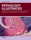 Image for Pathology Illustrated